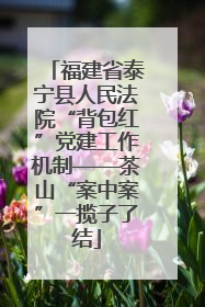 福建省泰宁县人民法院“背包红”党建工作机制——茶山“案中案”一揽子了结