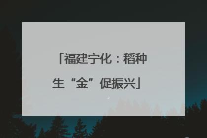 福建宁化：稻种生“金”促振兴