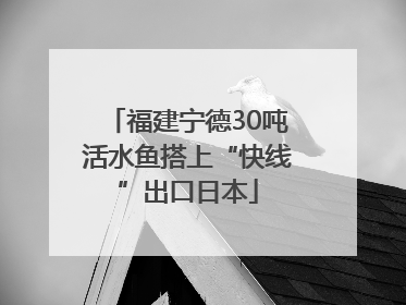 福建宁德30吨活水鱼搭上“快线”出口日本