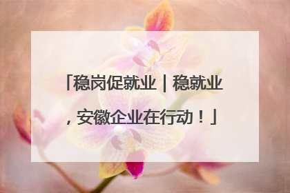 稳岗促就业｜稳就业，安徽企业在行动！