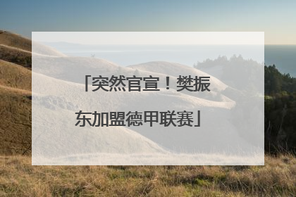 突然官宣！樊振东加盟德甲联赛