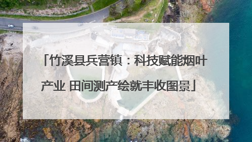 竹溪县兵营镇：科技赋能烟叶产业 田间测产绘就丰收图景