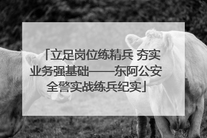 立足岗位练精兵 夯实业务强基础——东阿公安全警实战练兵纪实