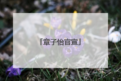 章子怡官宣