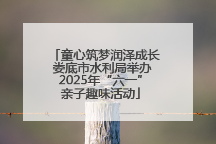 童心筑梦润泽成长 娄底市水利局举办2025年“六一”亲子趣味活动