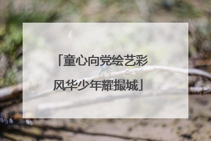 童心向党绘艺彩 风华少年耀撮城