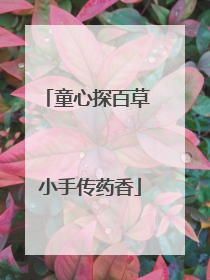童心探百草 小手传药香