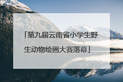 第九届云南省小学生野生动物绘画大赛落幕