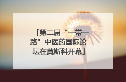 第二届“一带一路”中医药国际论坛在莫斯科开幕