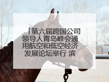 第六届跨国公司领导人青岛峰会通用航空和低空经济发展论坛举行 滨州市全方位推介低空经济发展优势
