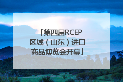 第四届RCEP区域（山东）进口商品博览会开幕