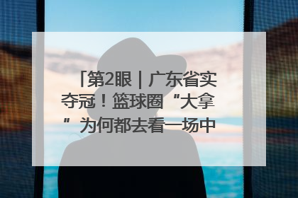 第2眼｜广东省实夺冠！篮球圈“大拿”为何都去看一场中学生比赛？