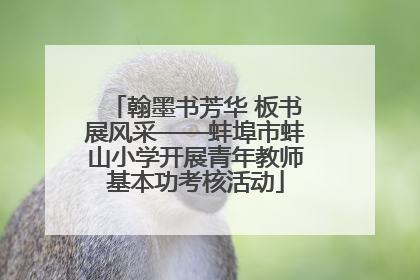 翰墨书芳华 板书展风采——蚌埠市蚌山小学开展青年教师基本功考核活动