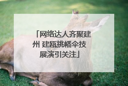 网络达人齐聚建州 建瓯挑幡伞技展演引关注