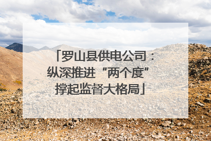 罗山县供电公司：纵深推进“两个度” 撑起监督大格局