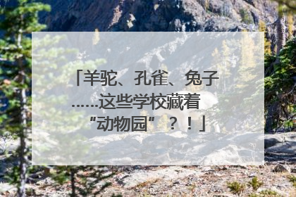 羊驼、孔雀、兔子……这些学校藏着 “动物园”？！