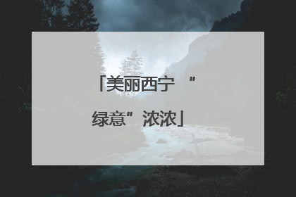 美丽西宁 “绿意”浓浓