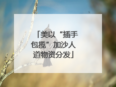 美以“插手包揽”加沙人道物资分发
