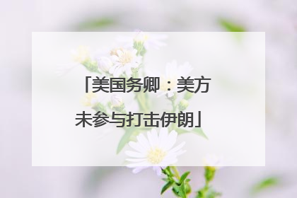 美国务卿：美方未参与打击伊朗