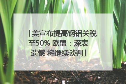 美宣布提高钢铝关税至50% 欧盟：深表遗憾 将继续谈判