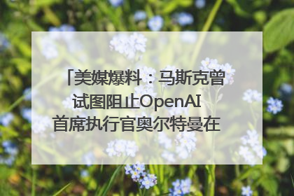 美媒爆料：马斯克曾试图阻止OpenAI首席执行官奥尔特曼在中东的AI交易