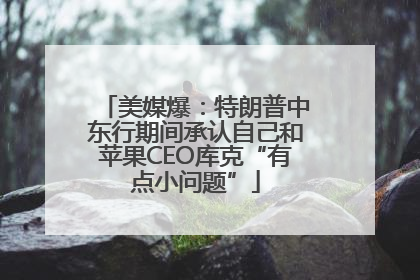 美媒爆：特朗普中东行期间承认自己和苹果CEO库克“有点小问题”