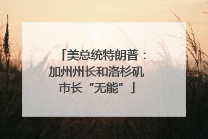 美总统特朗普：加州州长和洛杉矶市长“无能”