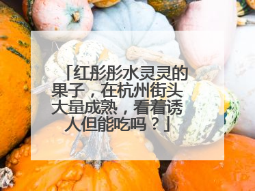 红彤彤水灵灵的果子，在杭州街头大量成熟，看着诱人但能吃吗？