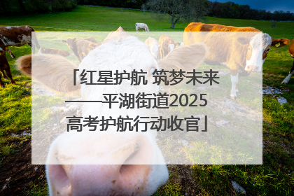 红星护航 筑梦未来——平湖街道2025高考护航行动收官