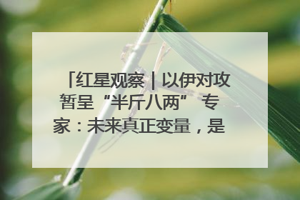 红星观察｜以伊对攻暂呈“半斤八两” 专家：未来真正变量，是美国是否进一步介入
