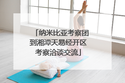 纳米比亚考察团到湘潭天易经开区考察洽谈交流