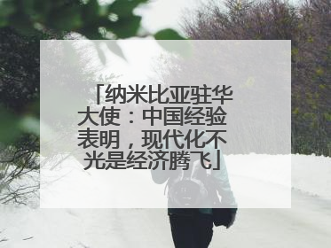 纳米比亚驻华大使：中国经验表明，现代化不光是经济腾飞