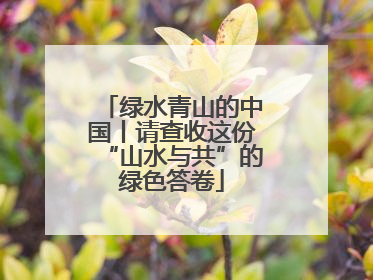 绿水青山的中国丨请查收这份“山水与共”的绿色答卷