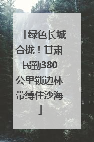 绿色长城合拢！甘肃民勤380公里锁边林带缚住沙海