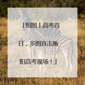 组图丨高考首日，多图直击衡阳高考现场！