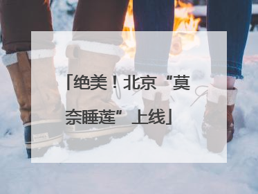 绝美！北京“莫奈睡莲”上线
