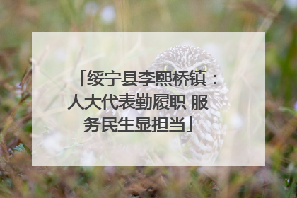 绥宁县李熙桥镇：人大代表勤履职 服务民生显担当