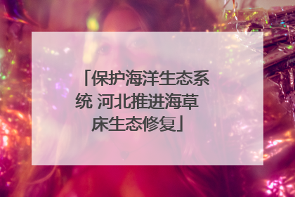 保护海洋生态系统 河北推进海草床生态修复