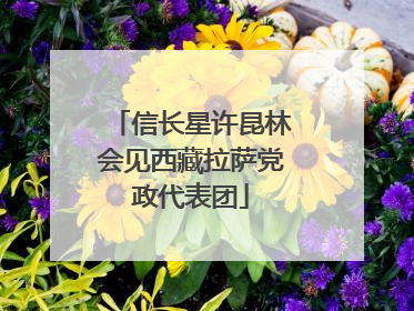 信长星许昆林会见西藏拉萨党政代表团