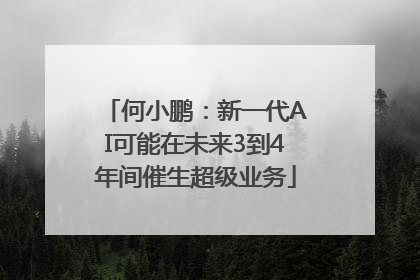 何小鹏：新一代AI可能在未来3到4年间催生超级业务