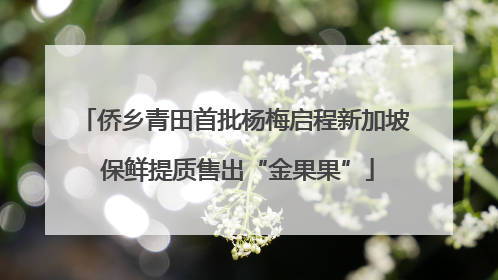 侨乡青田首批杨梅启程新加坡 保鲜提质售出“金果果”