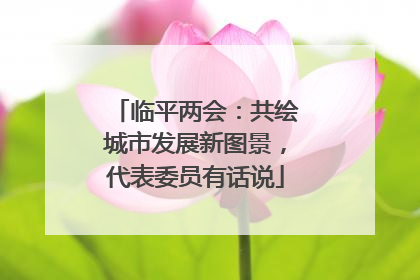 临平两会：共绘城市发展新图景，代表委员有话说
