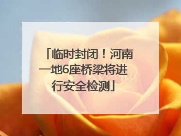 临时封闭！河南一地6座桥梁将进行安全检测