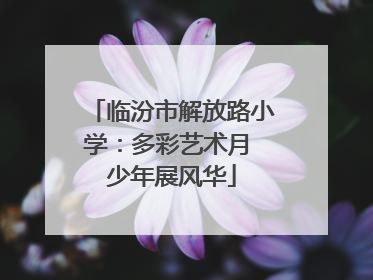 临汾市解放路小学：多彩艺术月 少年展风华