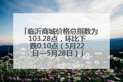 临沂商城价格总指数为103.28点，环比下跌0.10点（5月22日—5月28日）