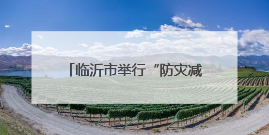 临沂市举行“防灾减灾情况”暨 “5.12全国防灾减灾日”宣传活动新闻发布会