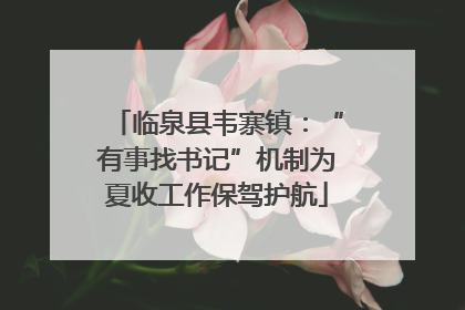 临泉县韦寨镇：“有事找书记”机制为夏收工作保驾护航