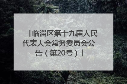 临淄区第十九届人民代表大会常务委员会公告（第20号）