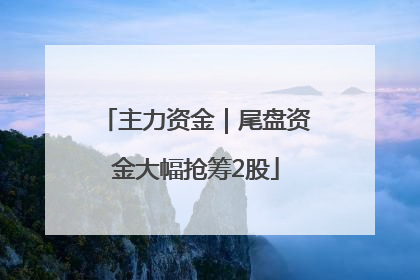 主力资金｜尾盘资金大幅抢筹2股