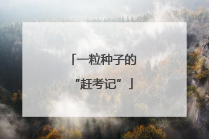 一粒种子的“赶考记”